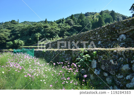 Rice terrace of Onino mouth Rice terrace of Onino mouth 119284383