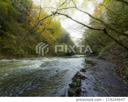 Yoro Valley / Yoro River, Chiba Prefecture "Awamata Falls Nature Trail" / Yoro River, Japan Yoro Valley / Yoro River, Chiba Prefecture "Awamata Falls Nature Trail" / Yoro River, Japan 119284647