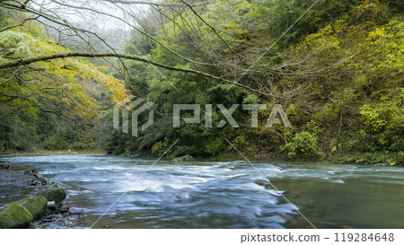 Yoro Valley / Yoro River, Chiba Prefecture "Awamata Falls Nature Trail" / Yoro River, Japan Yoro Valley / Yoro River, Chiba Prefecture "Awamata Falls Nature Trail" / Yoro River, Japan 119284648