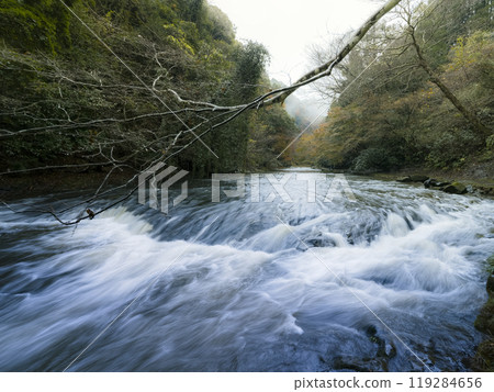 Yoro River, Isumi, Japan 119284656