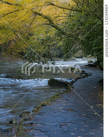 Yoro River, Isumi, Japan "Awamatanotaki Nature Trail" Yoro River, Isumi, Japan "Awamatanotaki Nature Trail" 119284664