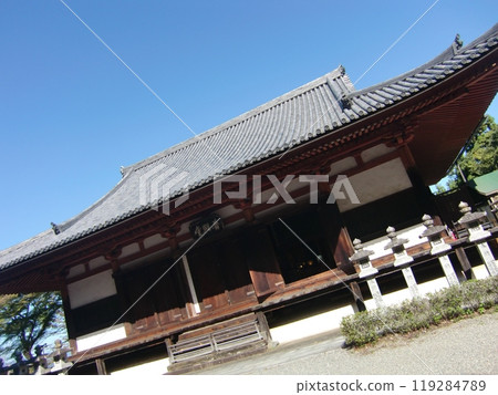 Tsubosaka Temple 119284789