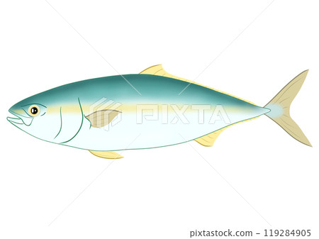 黃尾魚 黃尾魚 119284905