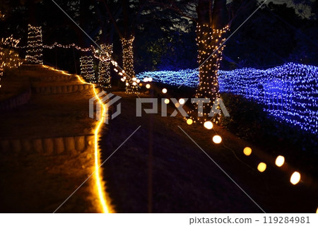 公園的照明 119284981