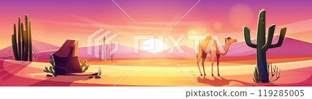Arizona desert landscape with cactus on sunset Arizona desert landscape with cactus on sunset 119285005