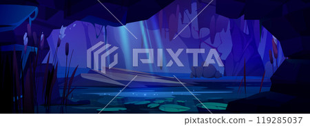 View from inside cave on night forest with swamp View from inside cave on night forest with swamp 119285037