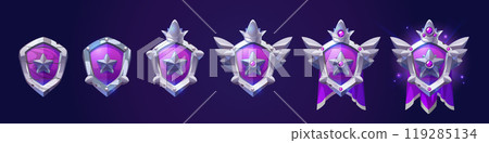 Shield shape badge with star for game level rank Shield shape badge with star for game level rank 119285134