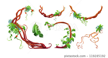 Twisted liana branch with green leaves and flowers 119285192