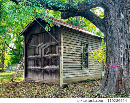 Hokkaido University Faculty of Agriculture Second Farm Weighing Station September 2024 Hokkaido University Faculty of Agriculture Second Farm Weighing Station September 2024 119286254