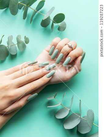 Elegant green manicure with long nails showcased against a mint background  119287223