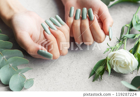 Elegant hands with long green nails surrounded by greenery and a white rose on a neutral surface Elegant hands with long green nails surrounded by greenery and a white rose on a neutral surface 119287224