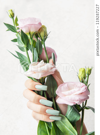 Delicate hand holding a bouquet of pale pink flowers against a soft background in natural light 119287227
