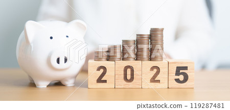 Happy New Year 2025 with piggy bank. Resolution, Goals, Plan, Action, Money Saving, Retirement fund, Pension, Investment and Financial concepts 119287481