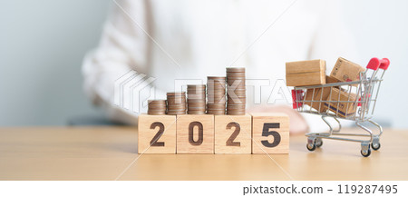 Happy New Year 2025 with shopping cart and money coins stack. online shopping, Marketplace platform website, technology, ecommerce, shipping delivery, logistics and online payment Happy New Year 2025 with shopping cart and money coins stack. online shopping, Marketplace platform website, technology, ecommerce, shipping delivery, logistics and online payment 119287495