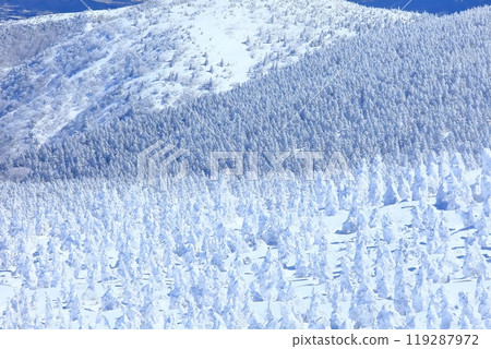 Zao冰群在晴朗的天氣下 119287972