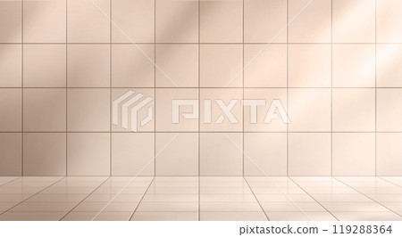 Bathroom studio with ceramic tile wall and floor Bathroom studio with ceramic tile wall and floor 119288364