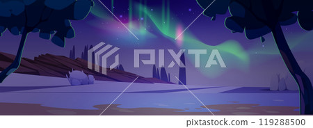 Aurora Borealis in night polar sky Aurora Borealis in night polar sky 119288500