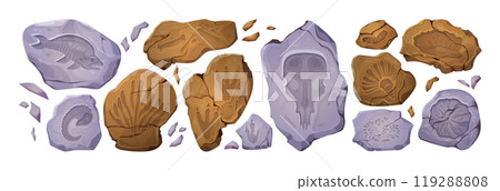 Prehistory ancient stone fossil footprint vector 119288808