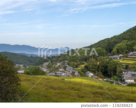 秋天的飛鳥村細川梯田 119288823