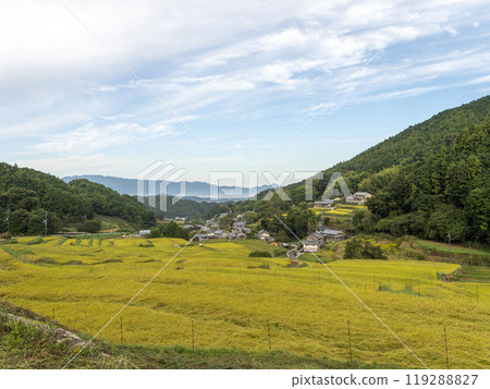 秋天的飛鳥村細川梯田 秋天的飛鳥村細川梯田 119288827