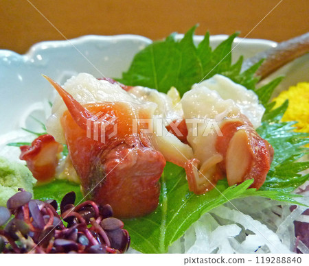Delicious and chewy shellfish, Naganishi (night-crying shellfish) sashimi Delicious and chewy shellfish, Naganishi (night-crying shellfish) sashimi 119288840