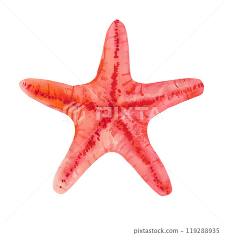 Starfish from the series sea creatures underwater world in watercolor. Asterias Rubens in reddish with a central disk and five arms. The common Starfish, common Sea Star or Sugar Starfish is drawn in 119288935
