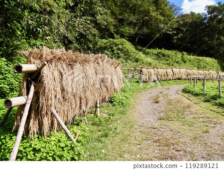 Putting on a rice cookie 119289121