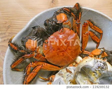 Fatty crabs are the most delicious, picture of salt-boiled mitten crabs of the same family as Shanghai crabs Fatty crabs are the most delicious, picture of salt-boiled mitten crabs of the same family as Shanghai crabs 119289132