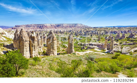 Amazing rocks in Cappadocia near Goreme eroded into spectacular pillars and minaret-like forms, Turkey 119289294