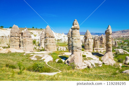 Amazing rocks in Cappadocia near Goreme eroded into spectacular pillars and minaret-like forms, Turkey 119289295