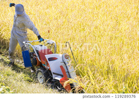 Image of rice harvesting: A man pulling the recoil starter of a hand-pushed rice harvester to start the engine Image of rice harvesting: A man pulling the recoil starter of a hand-pushed rice harvester to start the engine 119289376