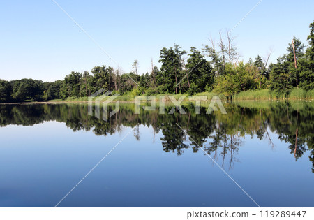 Beautiful serene river reflecting lush greenery under clear blue sky at midday Beautiful serene river reflecting lush greenery under clear blue sky at midday 119289447