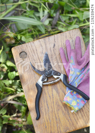Pruning shears and gloves 119289474