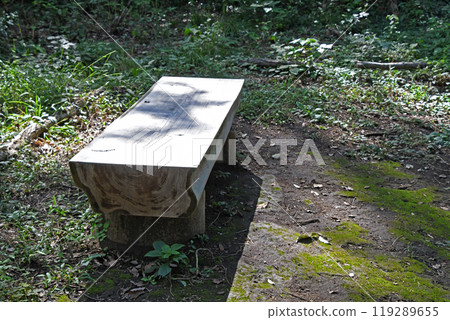 Promenade bench 119289655