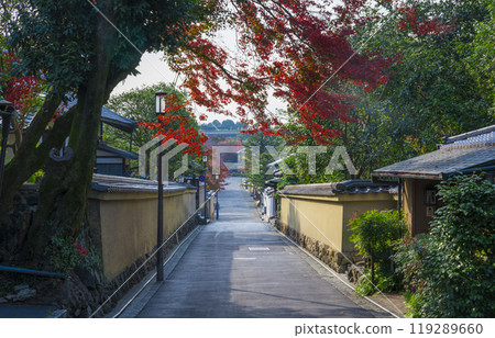Kyoto Nene's Road Autumn Kyoto Nene's Road Autumn 119289660