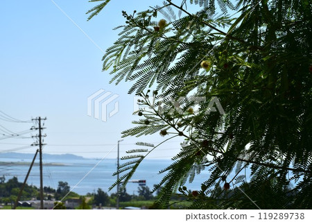 享有海景的斜坡上的Ginnemu 享有海景的斜坡上的Ginnemu 119289738