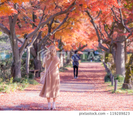 一位來自海外的年輕女遊客漫步東京著名的秋葉勝地 一位來自海外的年輕女遊客漫步東京著名的秋葉勝地 119289823