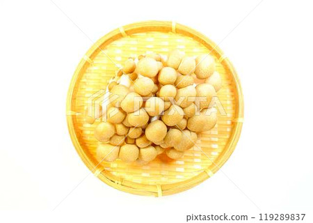 Bunashimeji mushroom 119289837