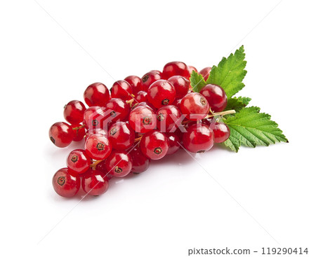REd currants on white backgrounds 119290414