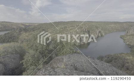 Panoramic view of Duero River canyon with rocky cliffs and forests 119290450