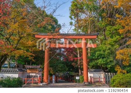 京都八坂神社東北門鳥居 京都八坂神社東北門鳥居 119290454