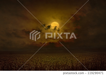 Dark dramatic mystical image with glowing full moon rises above field of sunflowers. Dark dramatic mystical image with glowing full moon rises above field of sunflowers. 119290471