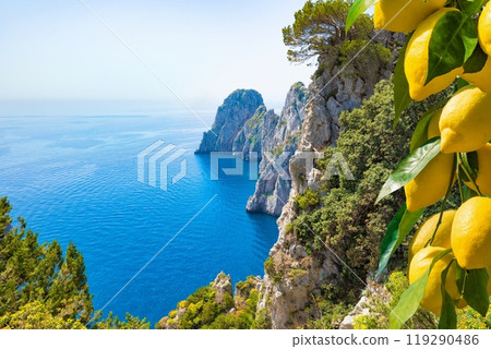 Famous Faraglioni Rocks, Capri Island, Italy. Beautiful paradise landscape with azure sea in sunny day with ripe yellow lemons in foreground. Famous Faraglioni Rocks, Capri Island, Italy. Beautiful paradise landscape with azure sea in sunny day with ripe yellow lemons in foreground. 119290486