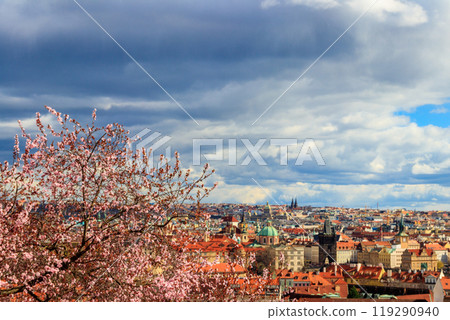 View of the old town of Prague with blooming pink cherry tree on foreground. Spring in Prague, Czech Republic View of the old town of Prague with blooming pink cherry tree on foreground. Spring in Prague, Czech Republic 119290940