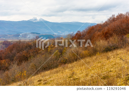 mountainous landscape in autumn. magnificent highland. snow capped peak of pikui mountain in the distance. trees on the grassy slope. beautiful scenery of ukraine in fall season mountainous landscape in autumn. magnificent highland. snow capped peak of pikui mountain in the distance. trees on the grassy slope. beautiful scenery of ukraine in fall season 119291046