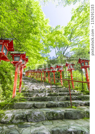 鮮綠的貴船神社、朱紅色的燈籠和石階 119291183