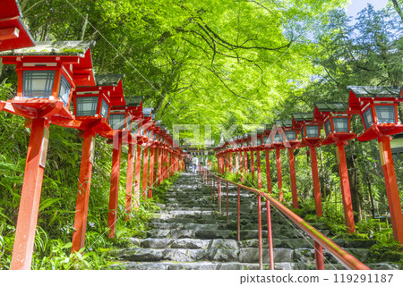Kifune Shrine with fresh greenery, vermilion lanterns and stone steps Kifune Shrine with fresh greenery, vermilion lanterns and stone steps 119291187