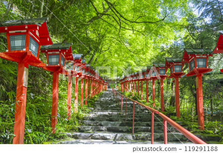 鮮綠的貴船神社、朱紅色的燈籠和石階 119291188