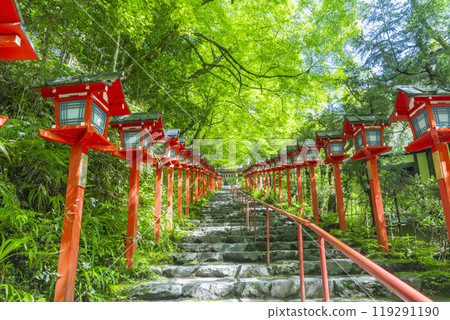 鮮綠的貴船神社、朱紅色的燈籠和石階 119291190