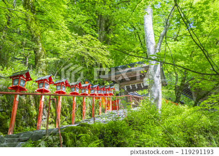 Kifune Shrine with fresh greenery, vermilion lanterns and stone steps 119291193